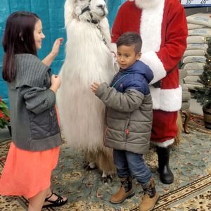 Meet your Posher, Tiffany